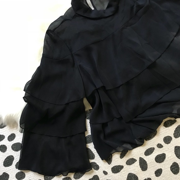 ⭐️🌟Zara Basic Collection sheer ruffle blouse🌟⭐️ - Picture 2 of 4